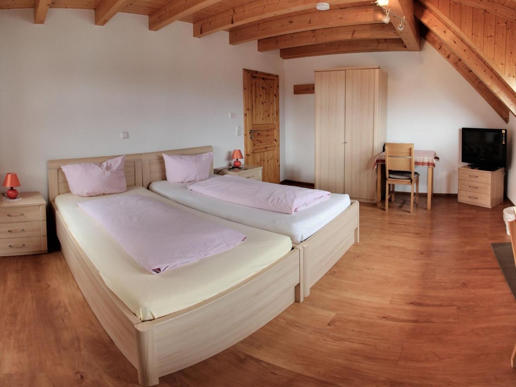 Apartment Gaestehaus Ritter Sinsheim